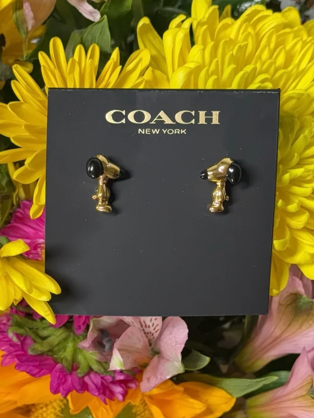 Coach X Peanuts Gold-Tone Snoopy Stud Earrings - Picture 1 of 5